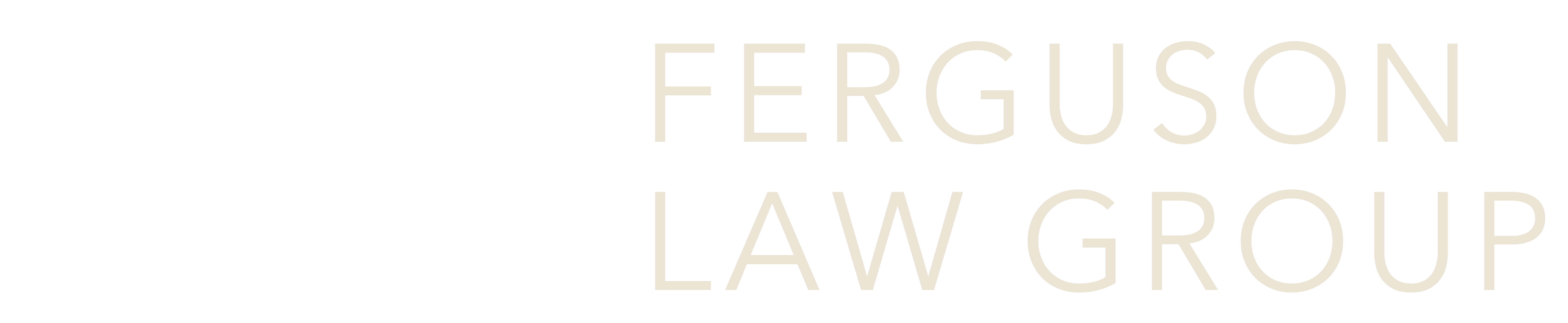 Ferguson Law Group